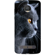 Чехол на Motorola Moto Z2 Play Красивый кот (3038u-1001)
