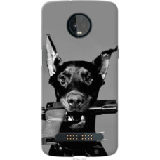 Чехол на Motorola Moto Z3 Play Доберман (2745u-1393)