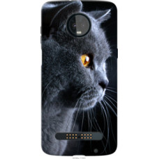 Чехол на Motorola Moto Z3 Play Красивый кот (3038u-1393)