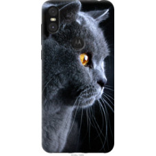 Чехол на Motorola One Красивый кот (3038u-1589)