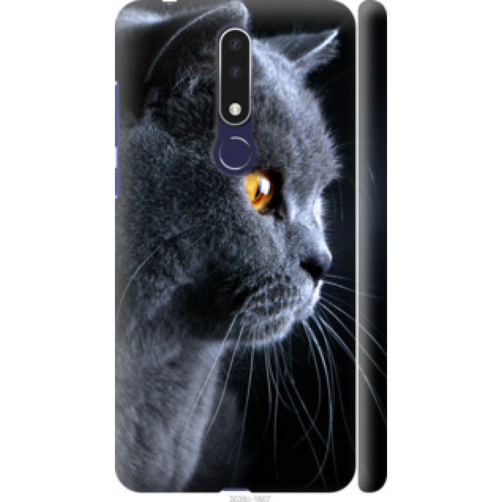 Чехол на Nokia 3.1 Plus Красивый кот (3038c-1607)