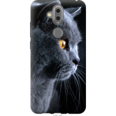 Чехол на Nokia 7.1 Plus Красивый кот (3038u-1606)