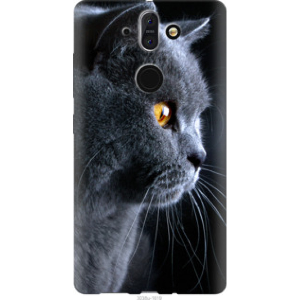 Чехол на Nokia 8 Sirocco Красивый кот (3038u-1619)