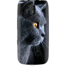 Чехол на Nokia Asha 308/309 Красивый кот (3038u-286)