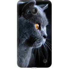 Чехол на Nokia Lumia 630 Красивый кот (3038u-365)