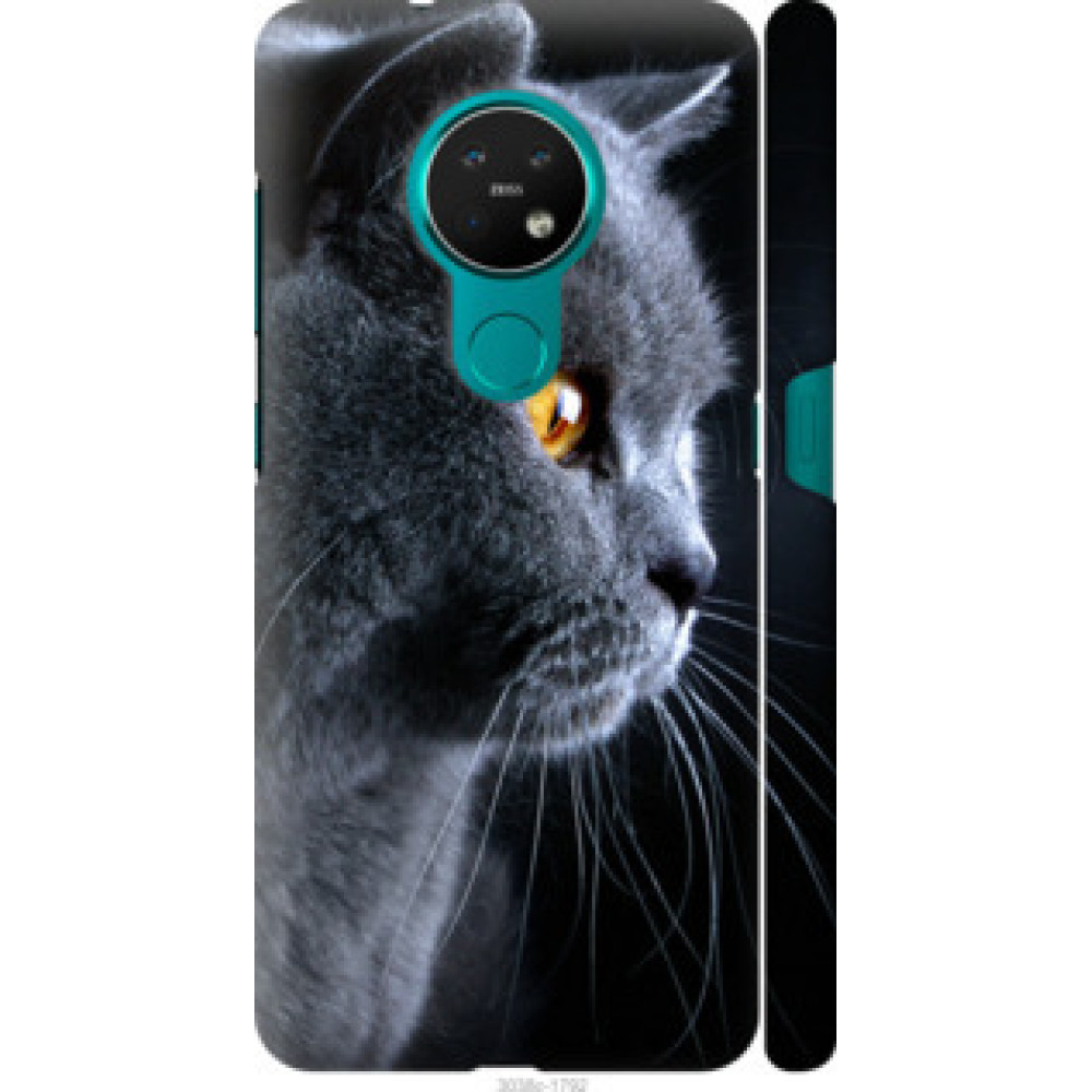 Чехол на Nokia 6.2 Красивый кот (3038c-2018)