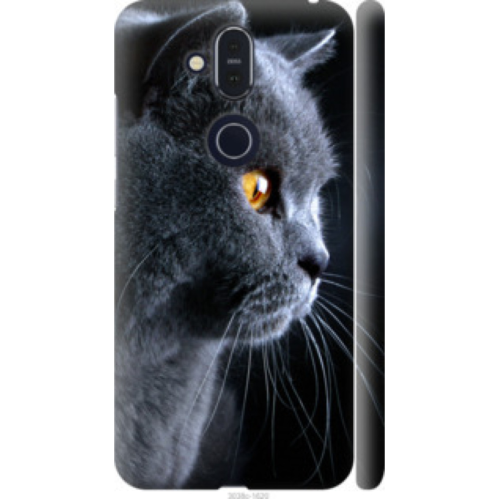 Чехол на Nokia 8.1 Красивый кот (3038c-1620)
