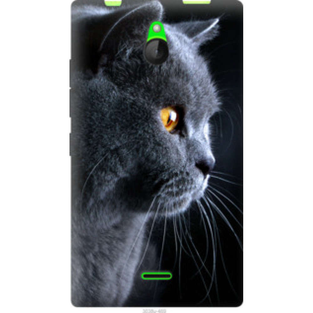 Чехол на Nokia X2 Dual SIM Красивый кот (3038u-469)