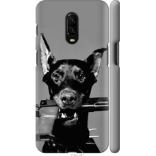 Чехол на OnePlus 6T Доберман (2745c-1587)