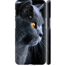 Чехол на OnePlus 6T Красивый кот (3038c-1587)
