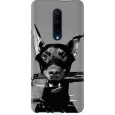 Чехол на OnePlus 7 Pro Доберман (2745u-1696)
