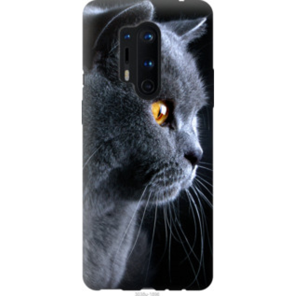 Чехол на OnePlus 8 Pro Красивый кот (3038u-1896)