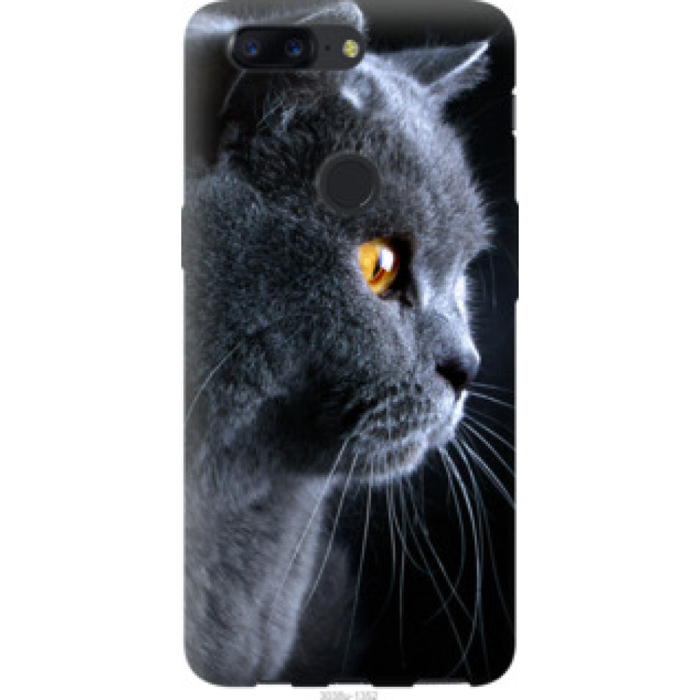 Чехол на OnePlus 5T Красивый кот (3038u-1352)