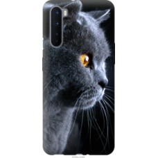 Чехол на OnePlus Nord Красивый кот (3038u-2046)