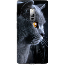 Чехол на OnePlus 2 Красивый кот (3038u-386)