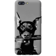 Чехол на OnePlus 5 Доберман (2745u-969)