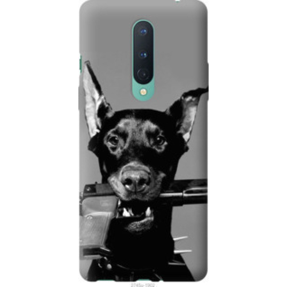 Чехол на OnePlus 8 Доберман (2745u-1902)