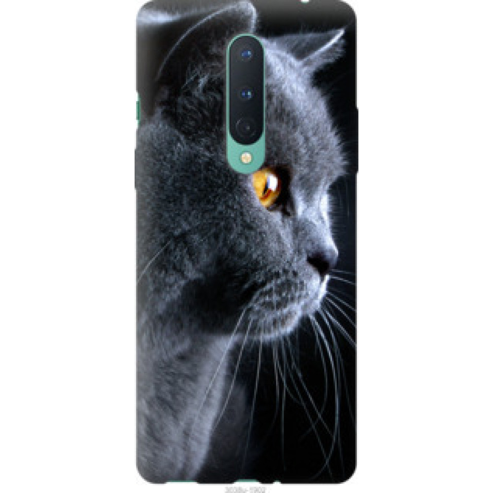 Чохол на OnePlus 8 Красивый кот (3038u-1902)