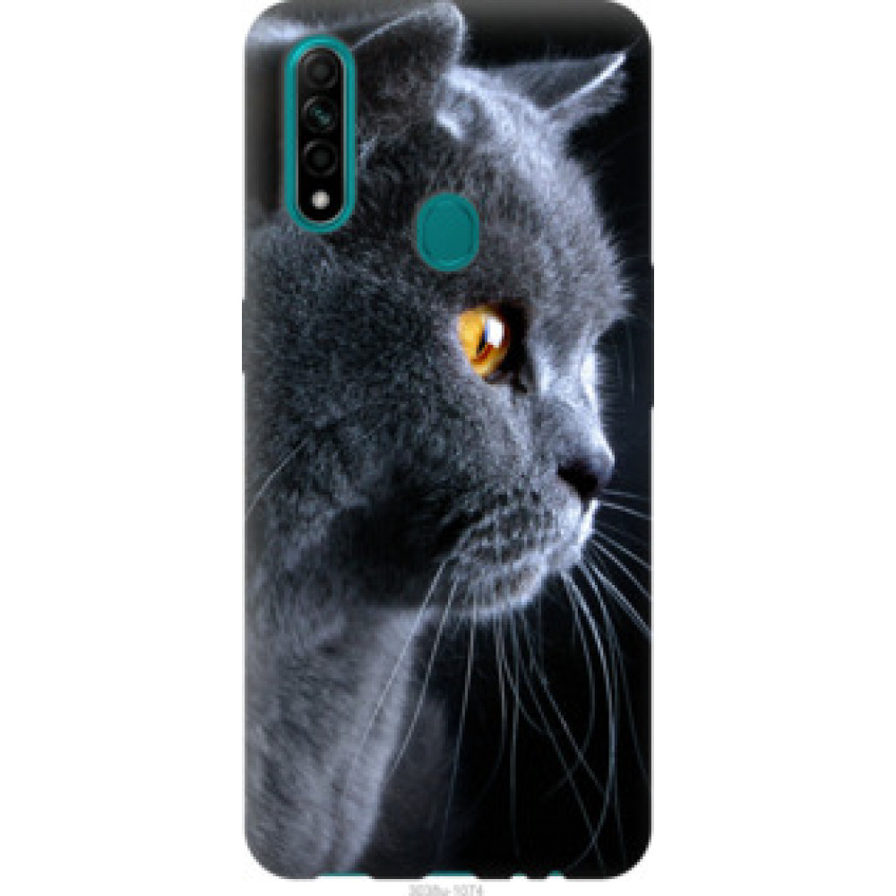 Чехол на Oppo A31 Красивый кот (3038u-1074)