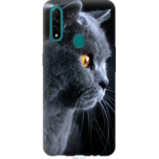 Чехол на Oppo A31 Красивый кот (3038u-1074)