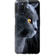 Чехол на Oppo A52 Красивый кот (3038c-1930)