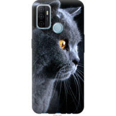 Чехол на Oppo A53 Красивый кот (3038u-568)