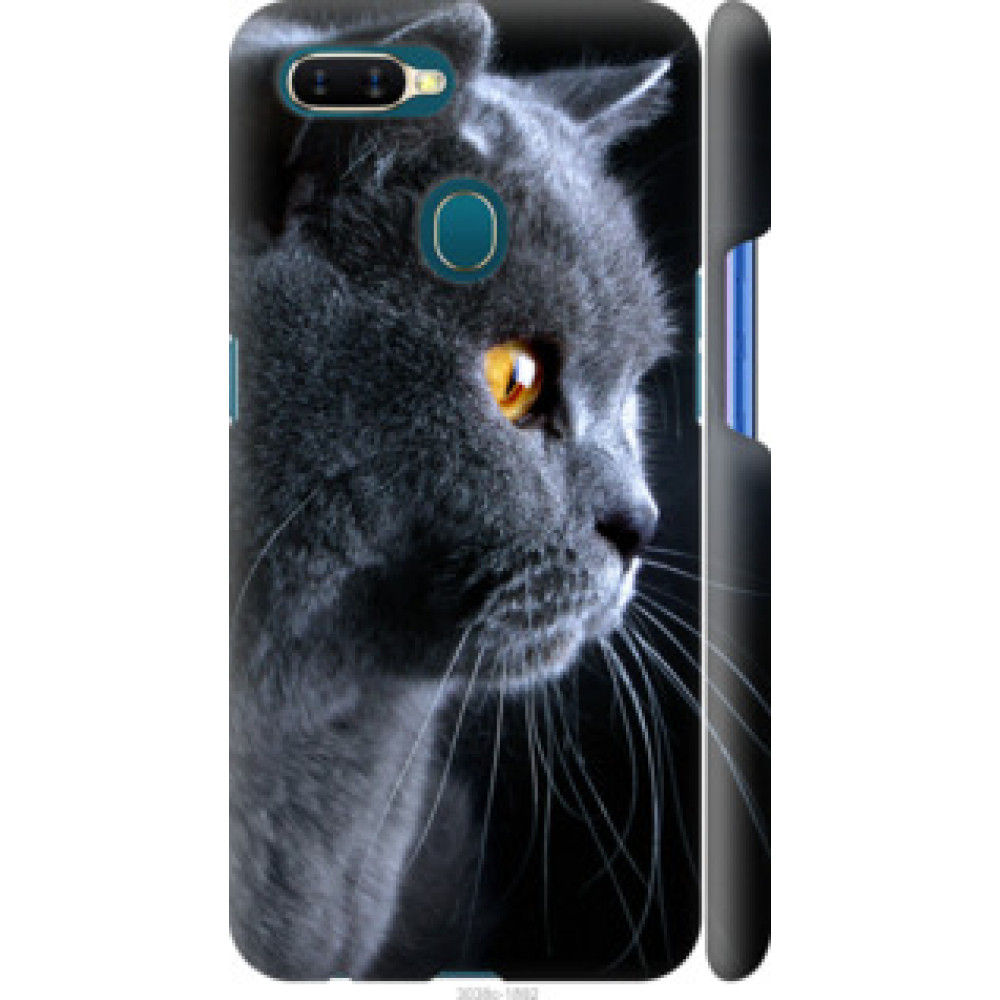 Чохол на Oppo A5S Красивый кот (3038c-1892)