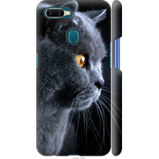 Чехол на Oppo A5S Красивый кот (3038c-1892)
