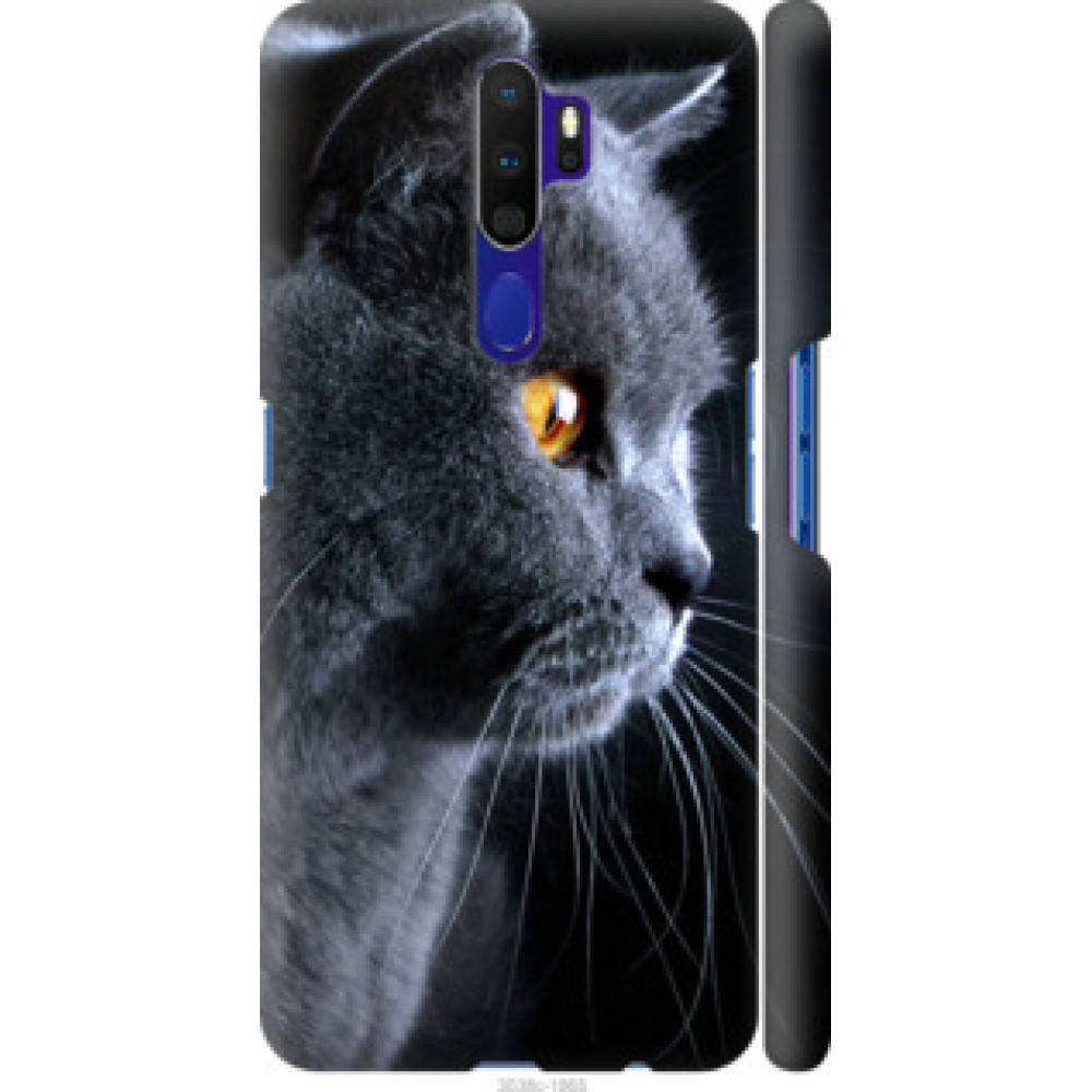 Чехол на Oppo A5 2020 Красивый кот (3038c-1888)