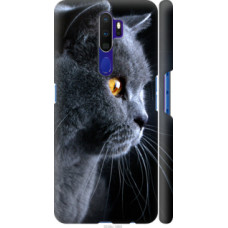Чехол на Oppo A5 2020 Красивый кот (3038c-1888)