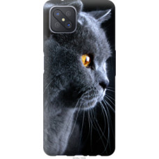 Чехол на Oppo A92S Красивый кот (3038u-1926)