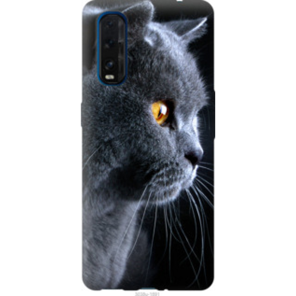 Чехол на Oppo Find X2 Красивый кот (3038u-1891)