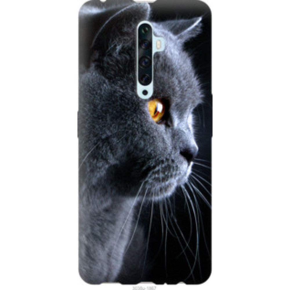 Чехол на Oppo Reno 2Z Красивый кот (3038u-1867)