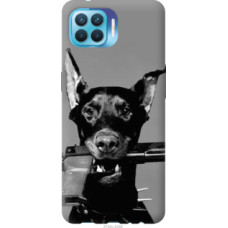 Чехол на Oppo Reno 4 Lite Доберман (2745u-2099)