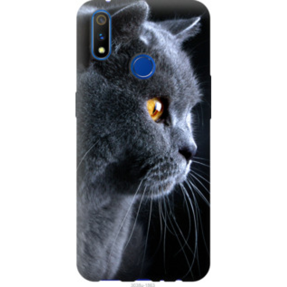 Чохол на Realme X Lite Красивый кот (3038u-2030)