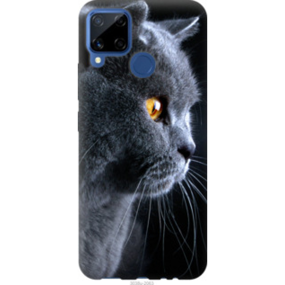 Чохол на Realme C15 Красивый кот (3038u-2063)