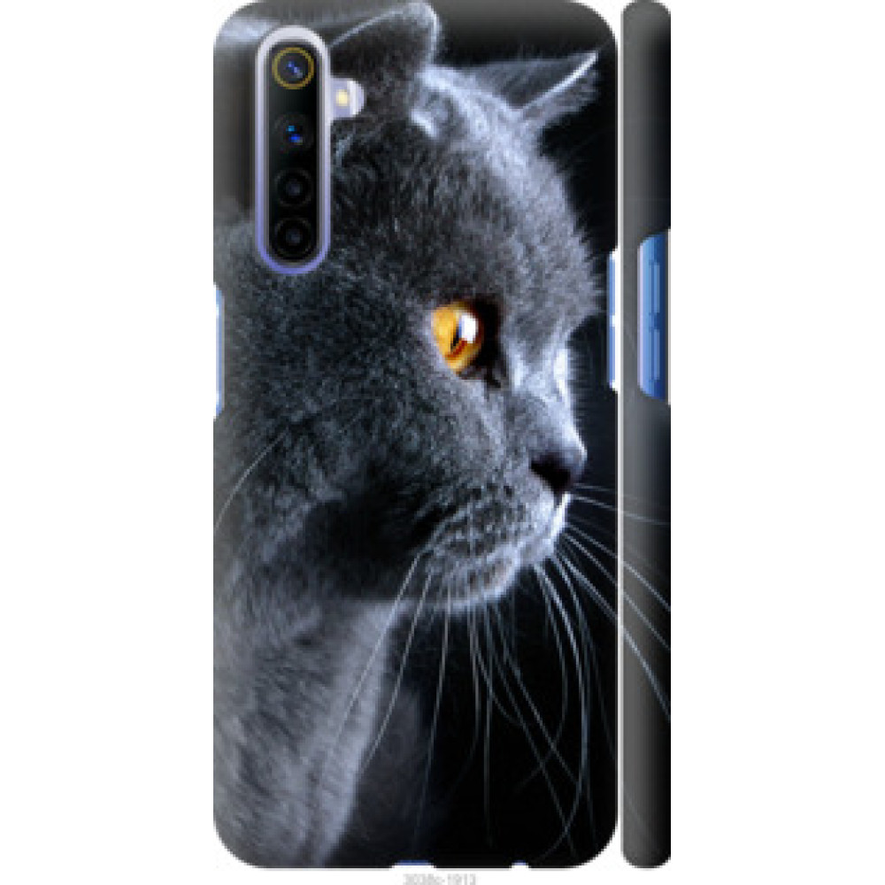 Чехол на Realme 6 Красивый кот (3038c-1913)