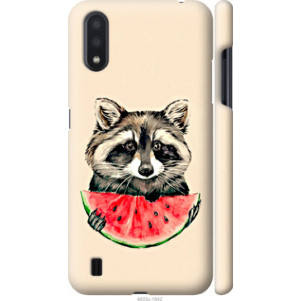 Чехол на Samsung Galaxy A01 A015F Енотик с арбузом (4605c-1842)