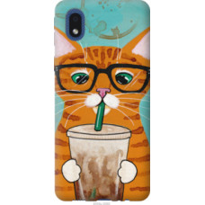 Чехол на Samsung Galaxy A01 Core A013F Зеленоглазый кот в очках (4054c-2065)