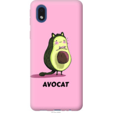 Чехол на Samsung Galaxy A01 Core A013F Avocat (4270c-2065)