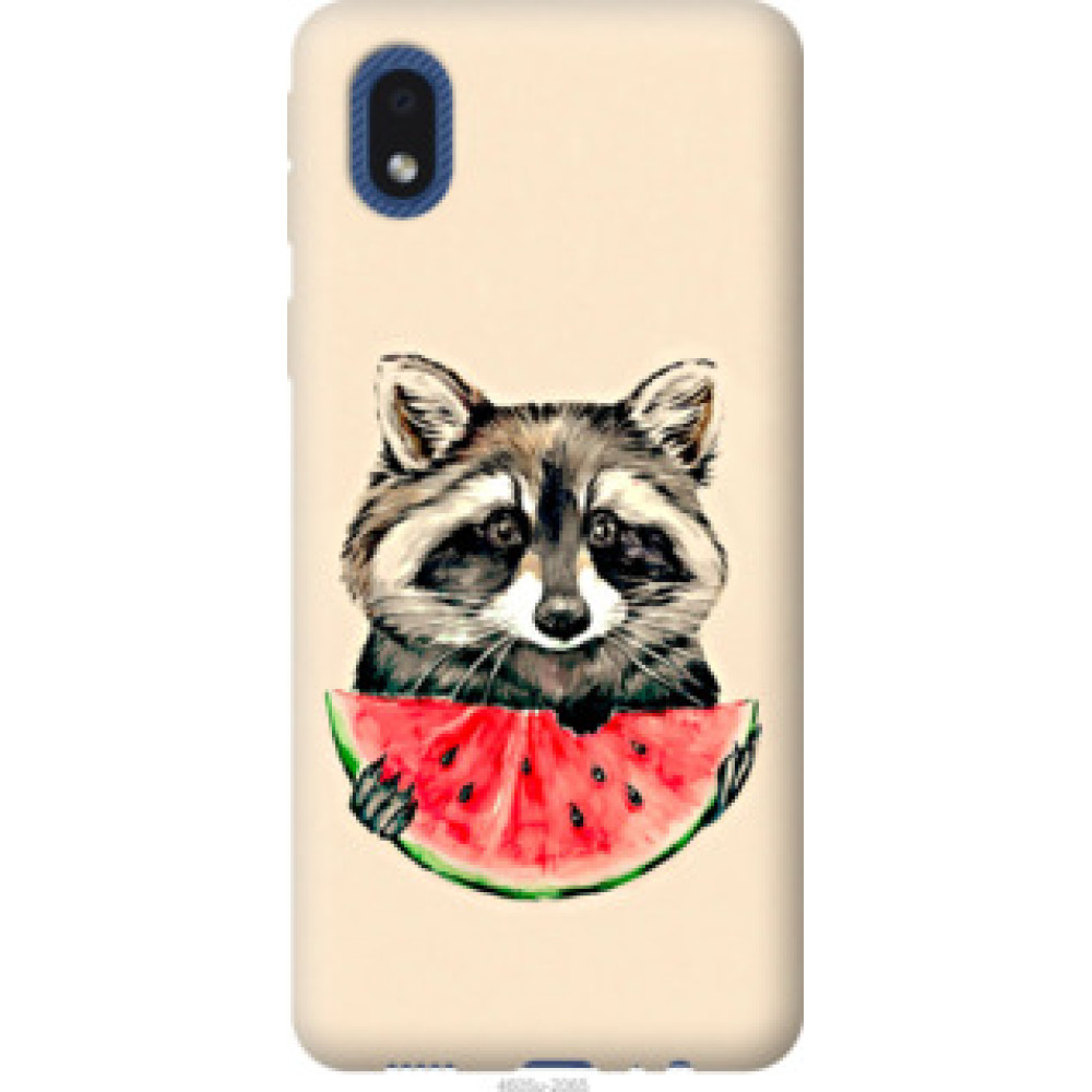 Чехол на Samsung Galaxy A01 Core A013F Енотик с арбузом (4605c-2065)