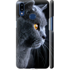 Чехол на Samsung Galaxy A10s A107F Красивый кот (3038c-1776)