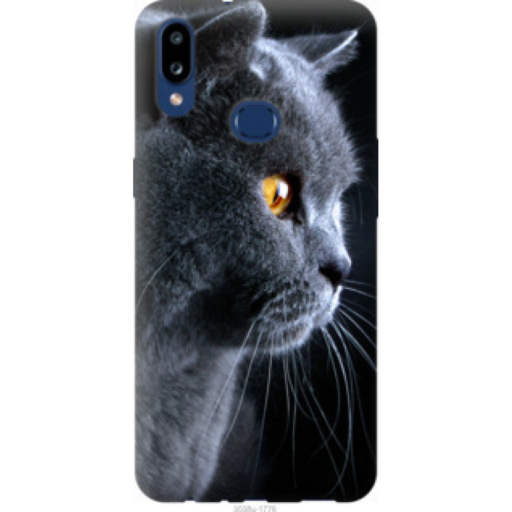 Чехол на Samsung Galaxy A10s A107F Красивый кот (3038u-1776)
