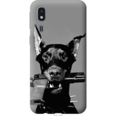 Чехол на Samsung Galaxy A2 Core A260F Доберман (2745u-1683)