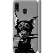 Чехол на Samsung Galaxy A20e A202F Доберман (2745c-1709)