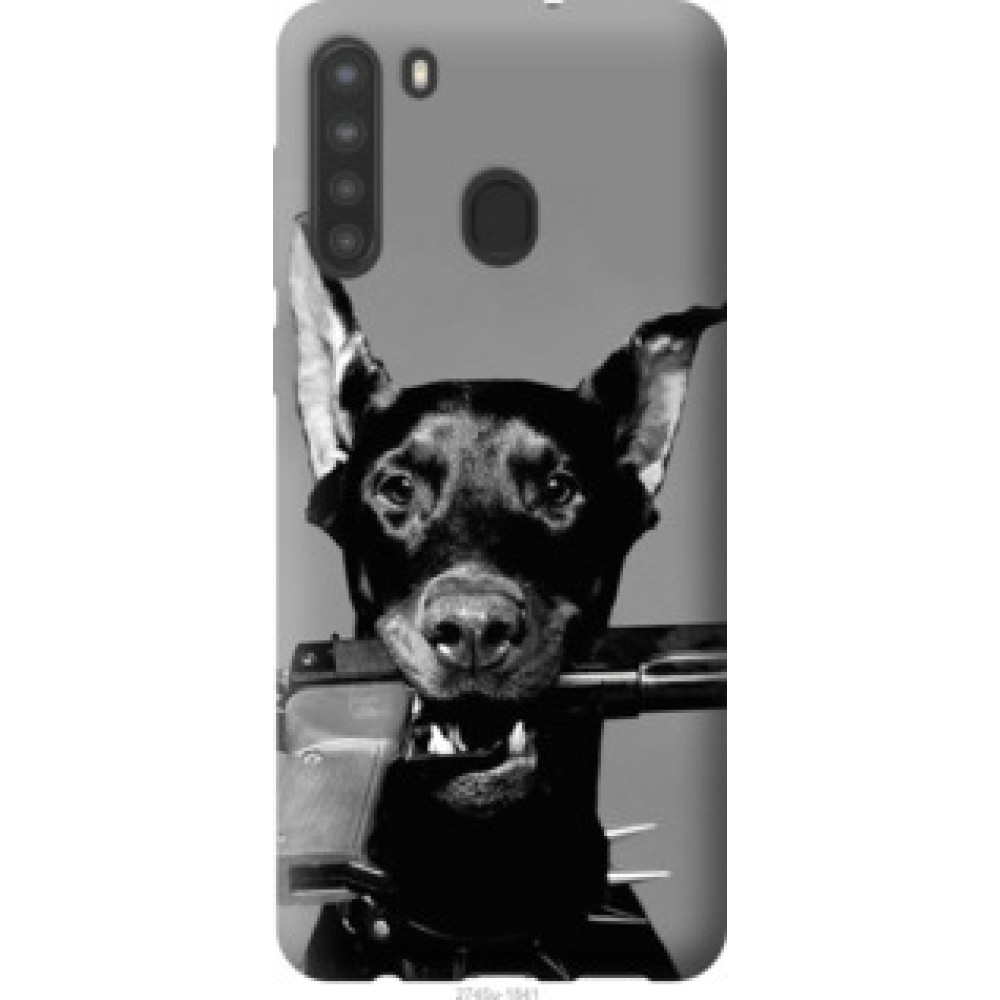Чохол на Samsung Galaxy A21 Доберман (2745u-1841)