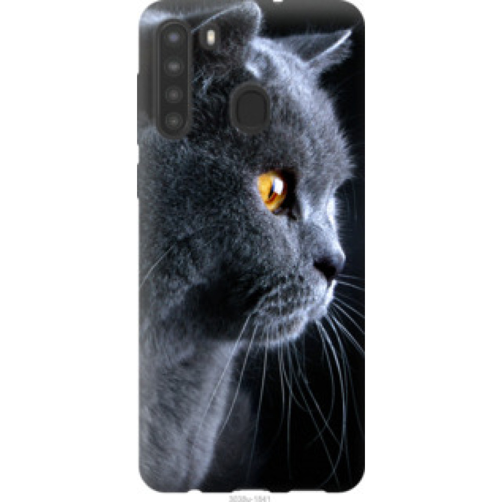 Чехол на Samsung Galaxy A21 Красивый кот (3038u-1841)