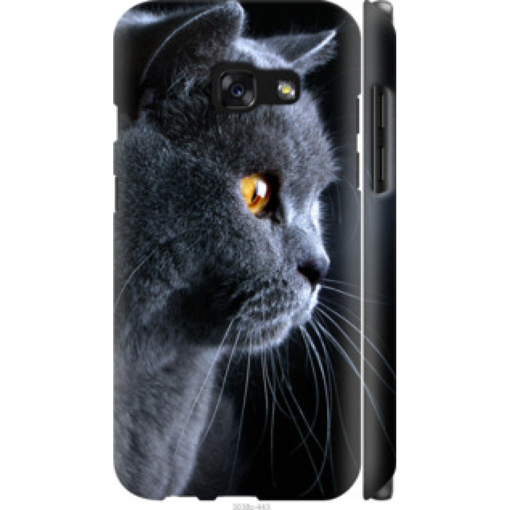 Чехол на Samsung Galaxy A3 (2017) Красивый кот (3038c-443)