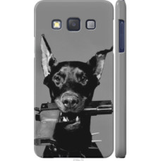 Чехол на Samsung Galaxy A3 A300H Доберман (2745c-72)