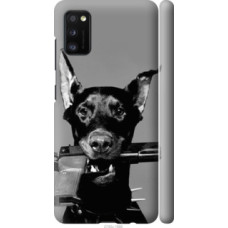 Чехол на Samsung Galaxy A41 A415F Доберман (2745c-1886)